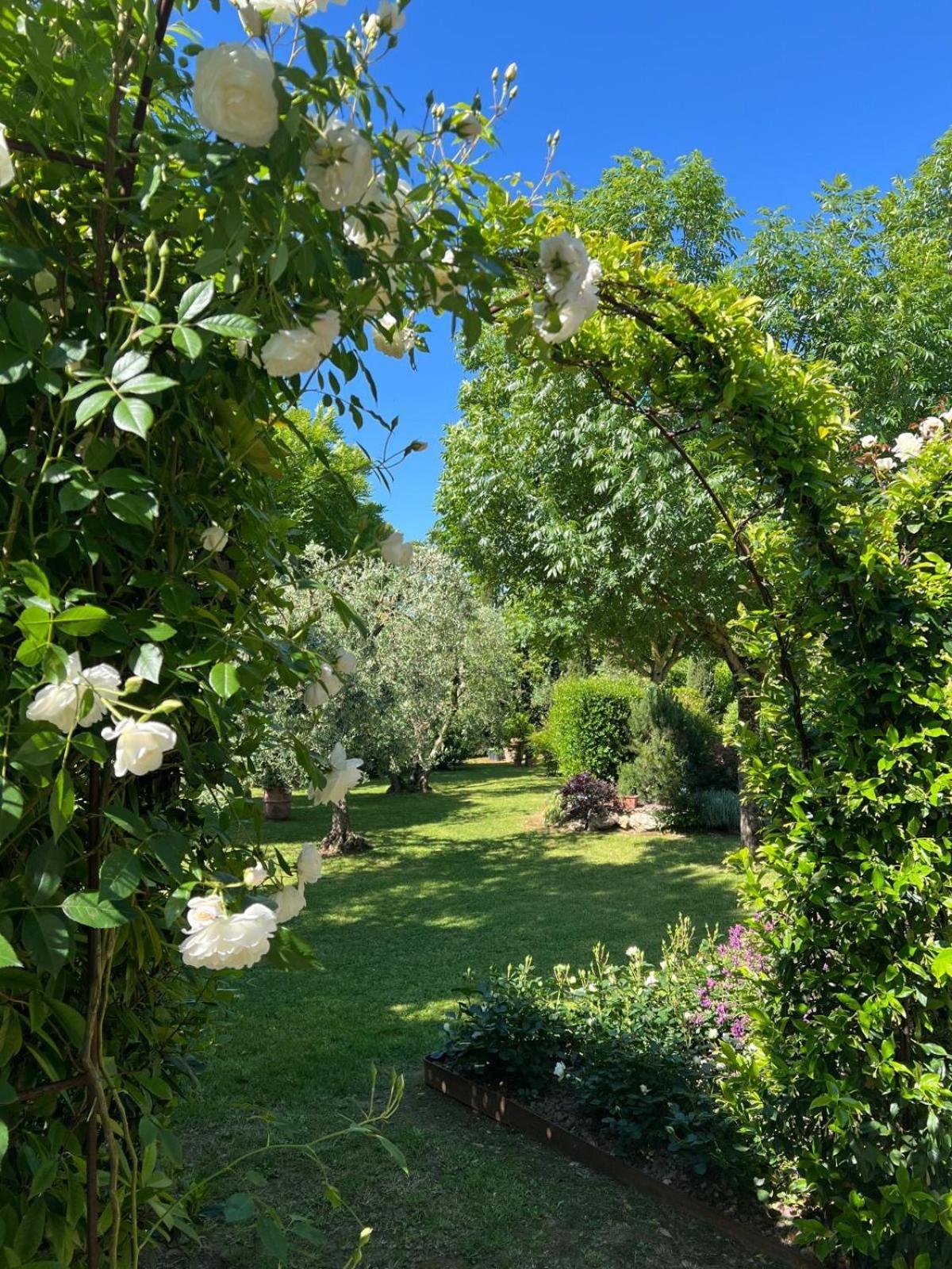 Relais La Corte Dei Papi Cortona Bagian luar foto